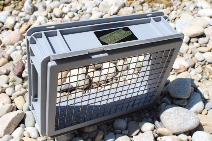 Siebbox zu Napfschleusen - Maschenweite 30mm